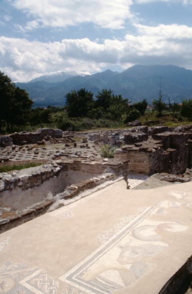 Part of a mosaic depicting a bull, at Dion, with Mt