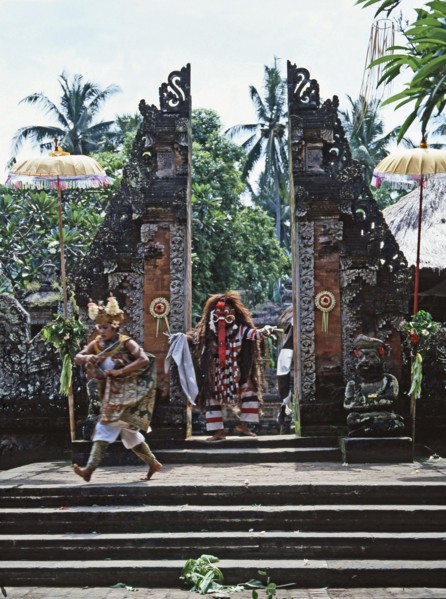 Each Balinese community stages regular performances in which Barong, a mythical lion, fights the dreaded Rangda, Queen of witches