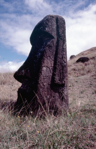 Moai statue