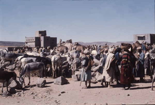 Group of Yemenis with donkeys
