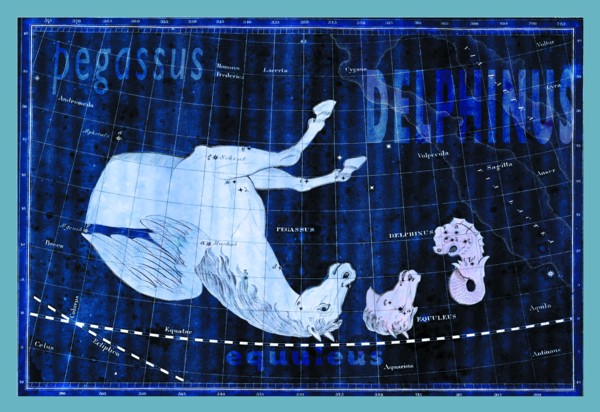 Delphinus, Equuleus and Pegassus #2 1824