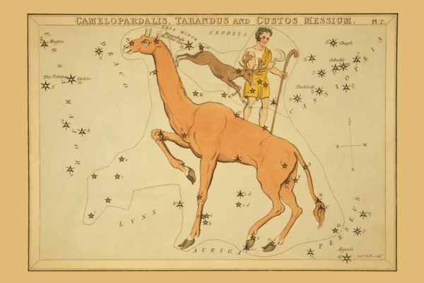 Camelopardalis, Tarandus and Custos Messium 1825