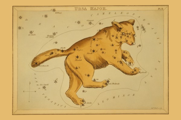 Ursa Major 1825