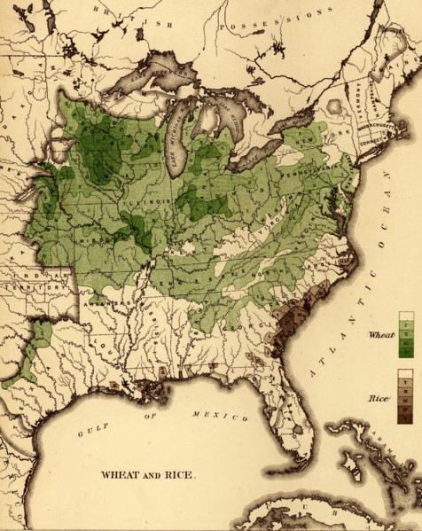 Wheat & Rice Production - 1870 1870