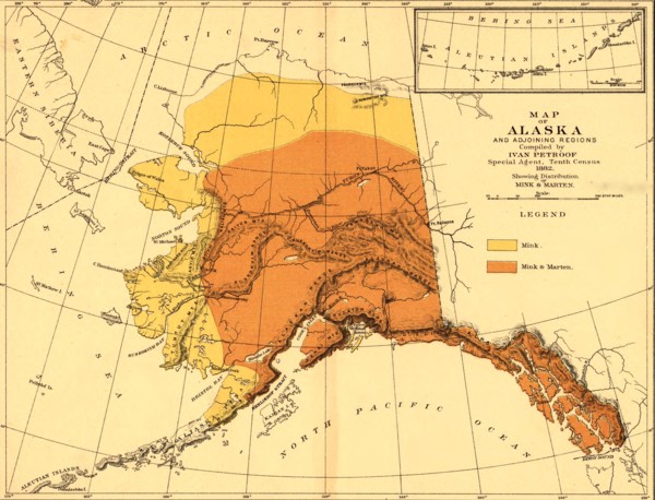 Mink & Marten - 1882 1882