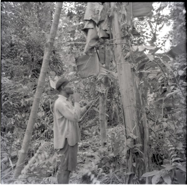 Johnson speaking to [njs?] before putting it on plantain