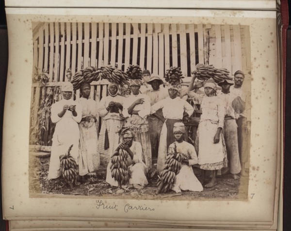 Fruit carriers