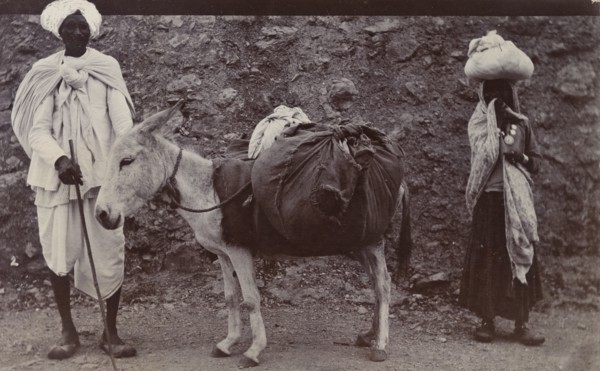 A 'dhobi' and his donkey