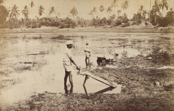 Washing clothes at Ballygunge, India