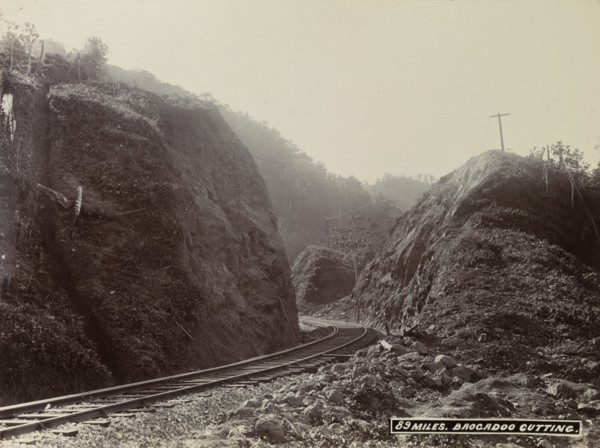 Track at Brocadoo Cutting, Jamaica