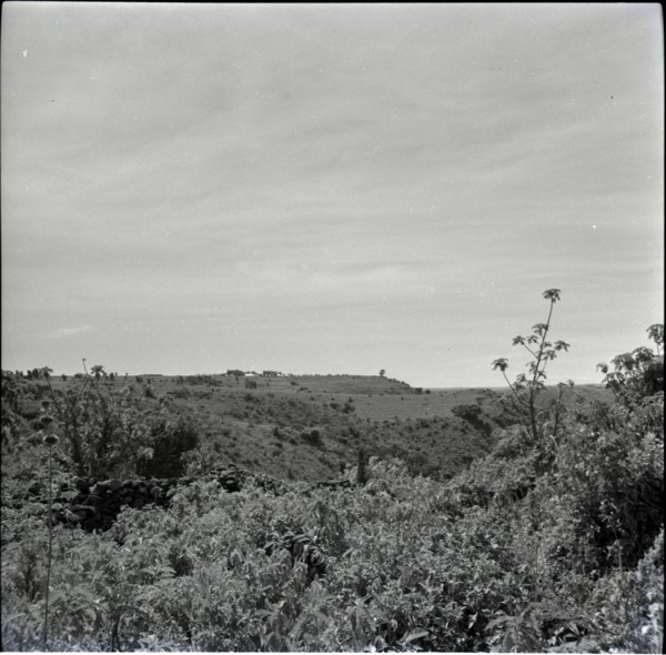 [Obogun?] looking along escarpment