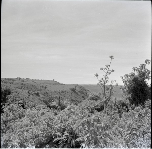 [Obogun?] looking along escarpment