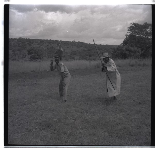 Francis and Gosiani