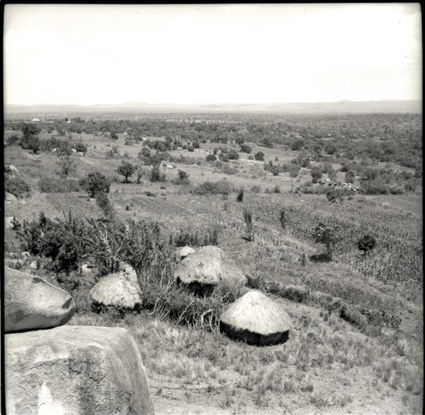 Homestead