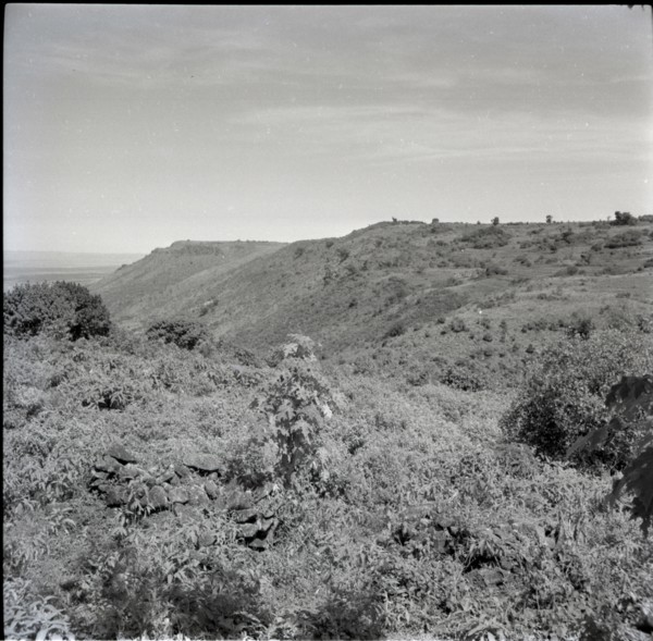 Looking along escarpment
