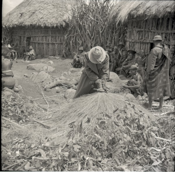 Making roof of small house