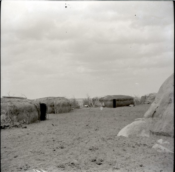 Masai kraal