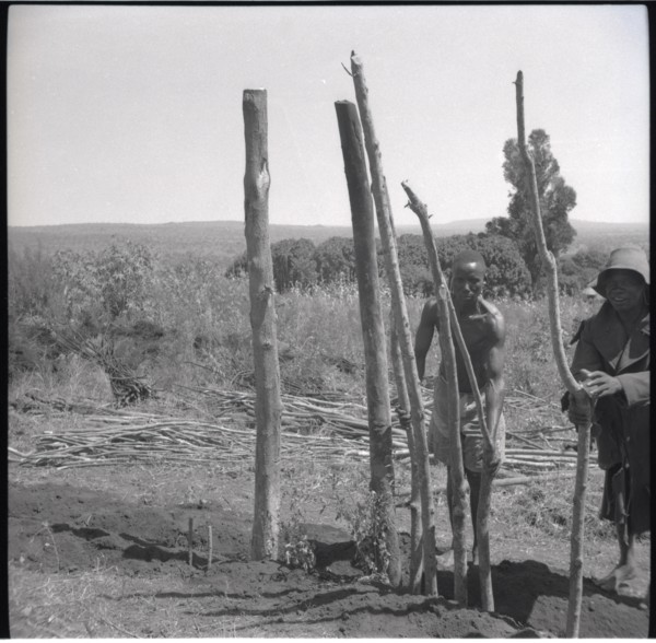 Putting in first poles