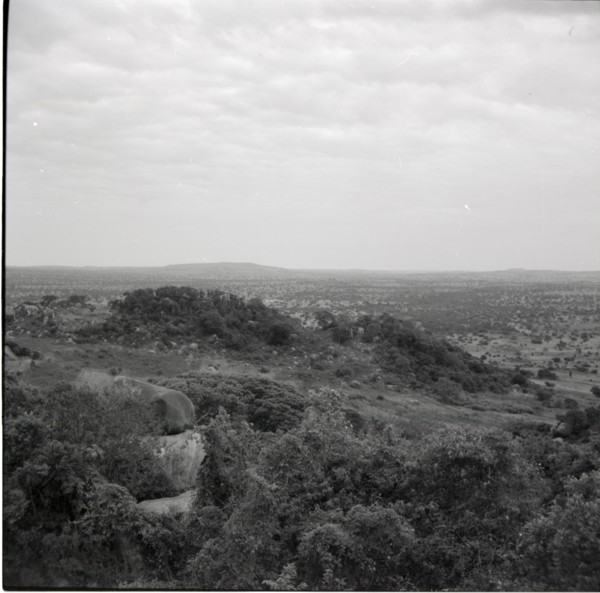 Renchoka hill?