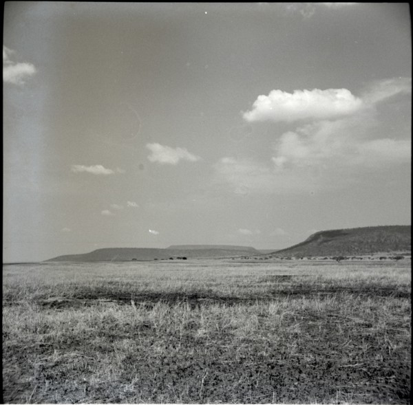 Serengheti plains and very distant animals