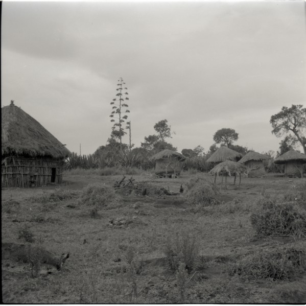 Small house of ancestors