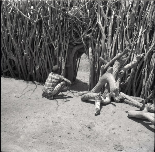 The food of the ancestors