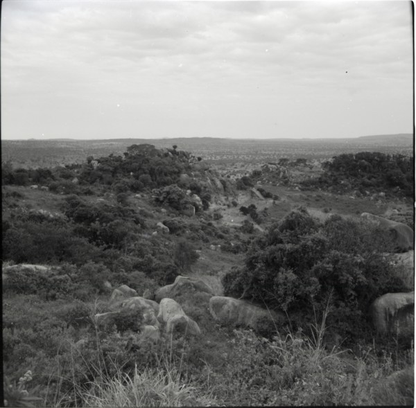 The summit of Renchoka hill