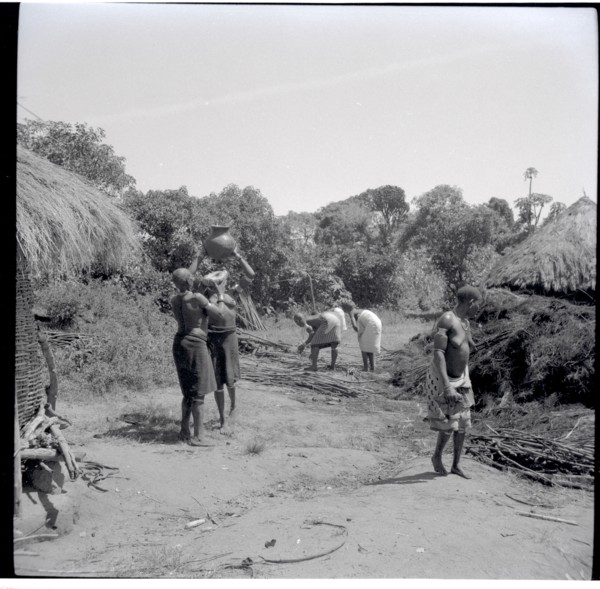 Women collecting sticks