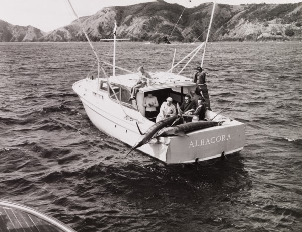 Catching a Striped Marlin, Bay of Islands, New Zealand