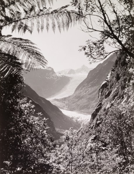 Fox Glacier, Westland
