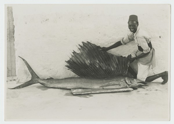 Somali man with large sailfish