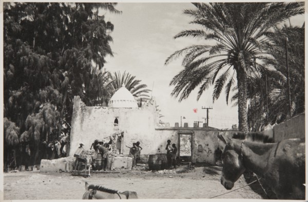 Street scene with donkeys