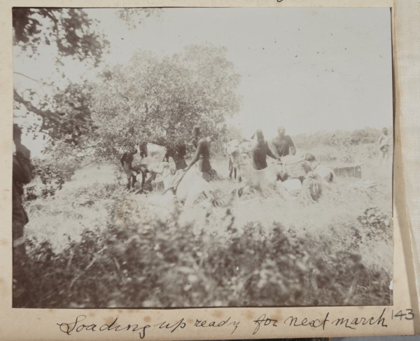 Police troops with camels