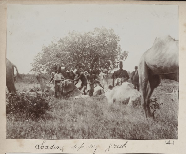 Police troops with camels