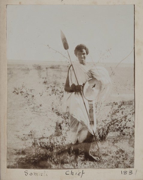 Somali Chief