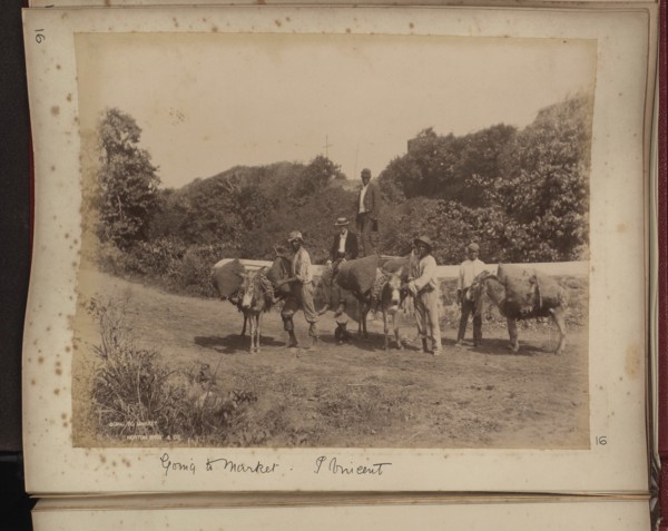 Going to Market, St Vincent