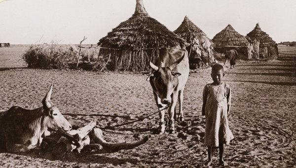 A child and 2 cows in front of conical huts at Duem