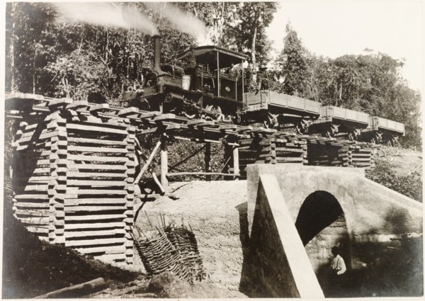 Steam train crossing culvert on the Rio Claro extension, Trinidad