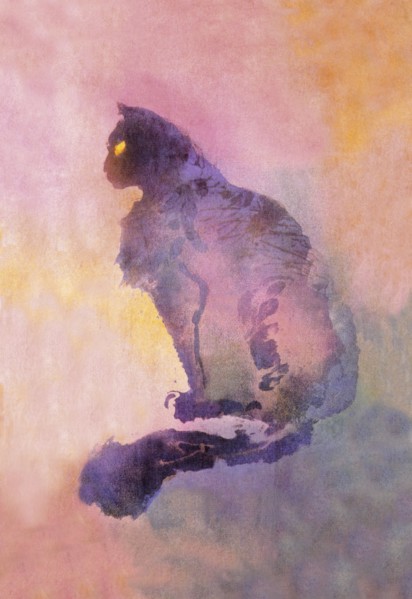 Chat Pourpre 1900