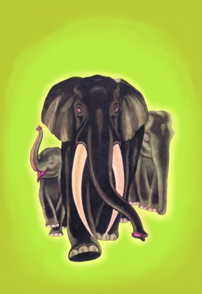 Indian Elephants 1934
