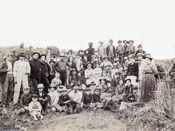 Oregon Hop Pickers