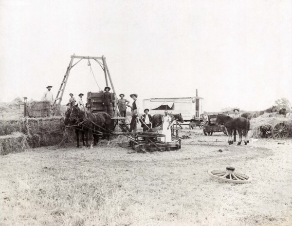 Making Hay Bales