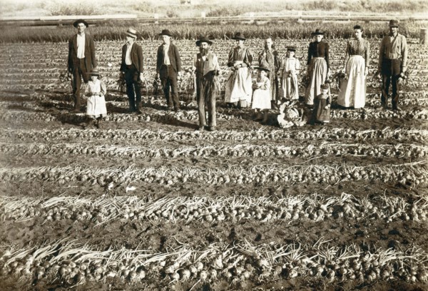 Family Harvest