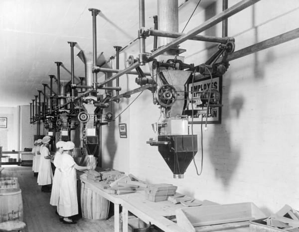 Women Working In Factory