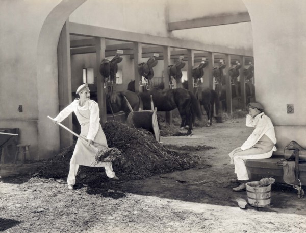 Shoveling Horse Manure