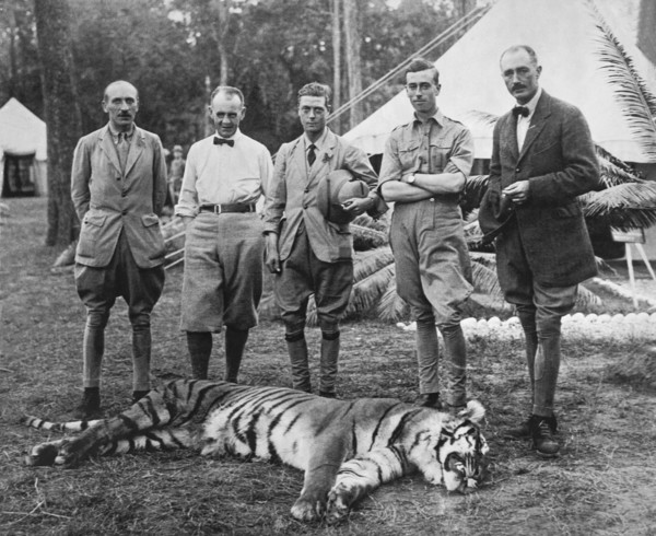 Prince Of Wales Kills Tiger
