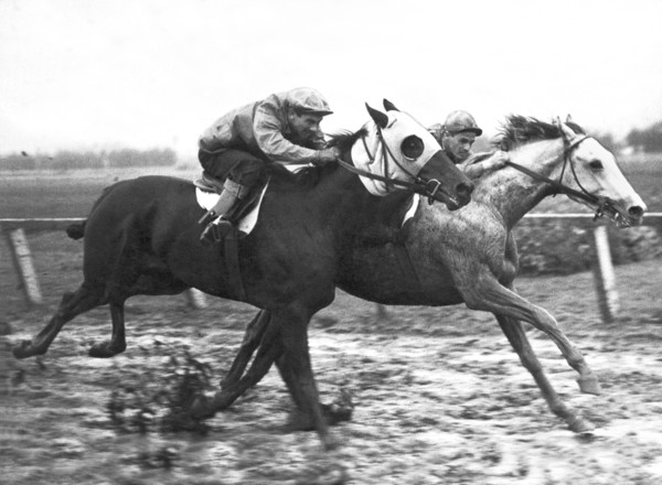 Horse Race In Los Angeles