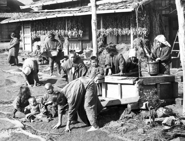 Japanese Harvest Scene