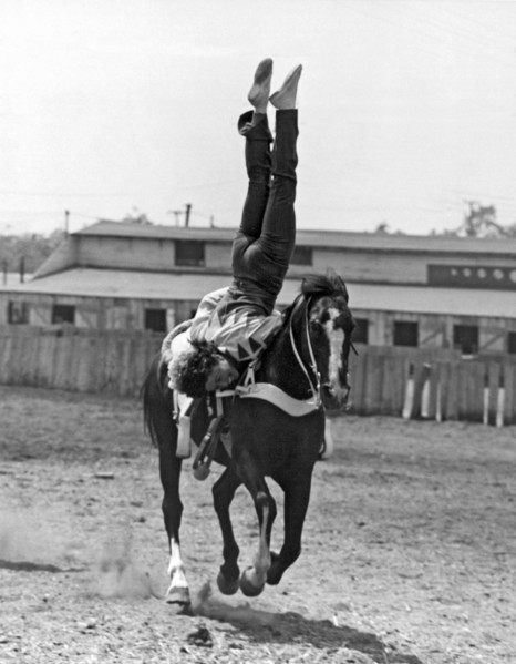 A Head Stand On Horseback