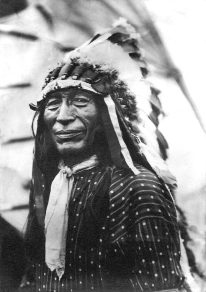 Buffalo Nickel Portrait